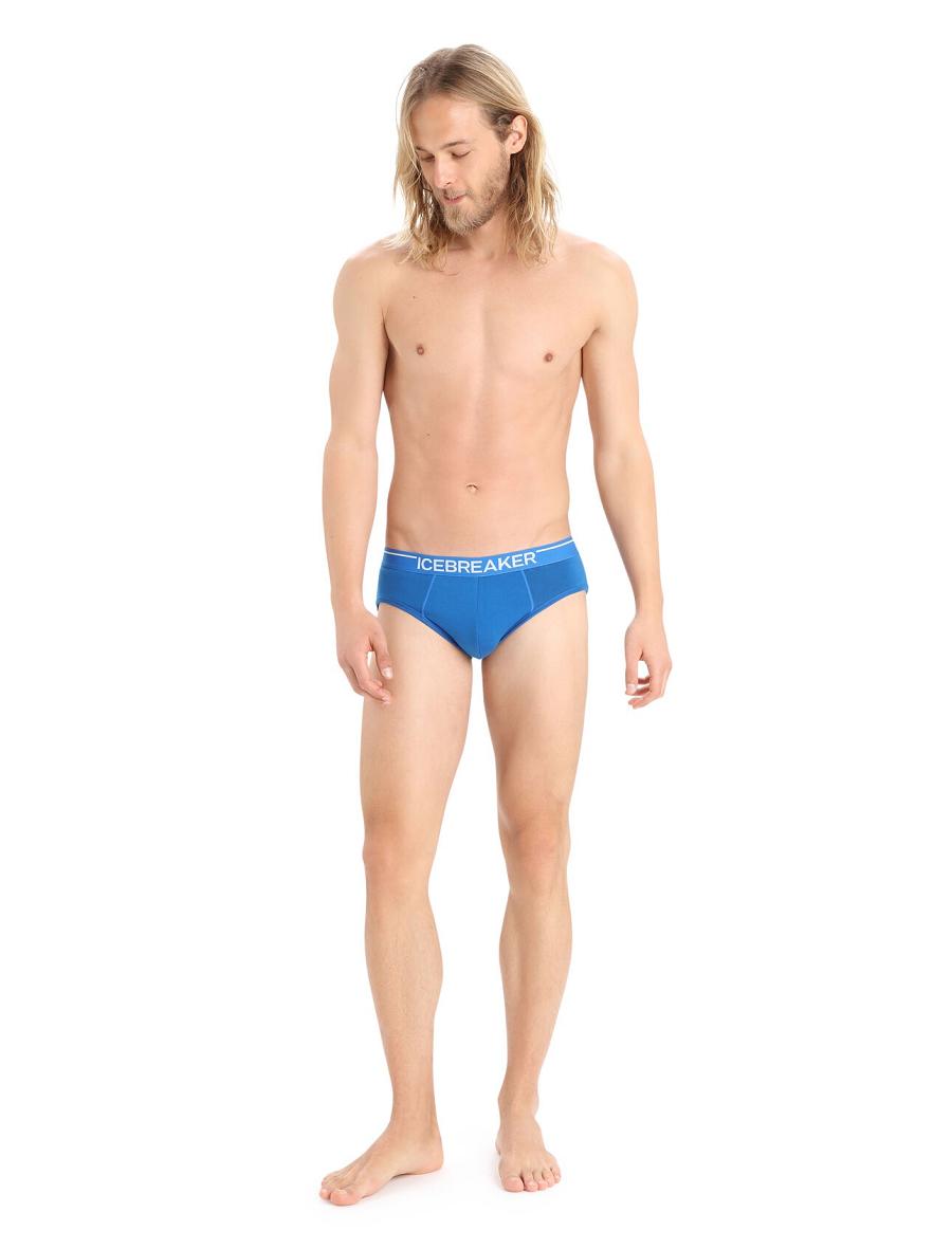 Lazurite Men's Icebreaker Merino Anatomica Briefs Underwear | USA 1296ZUTG